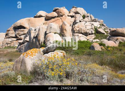 Naturschutzgebiet Lavezzi-Inseln, Corse-du-Sud, Korsika, Frankreich. Riesige Granitfelsen auf einem Hügel hinter Cala Lazarina, Lavezzu Island. Stockfoto