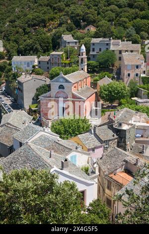 Nonza, Haute-Corse, Korsika, Frankreich. Blick über die Baumkronen vom Wachturm auf dem Hügel, der aus dem 17. Jahrhundert hervorstechende Eglise Sainte-Julie. Stockfoto
