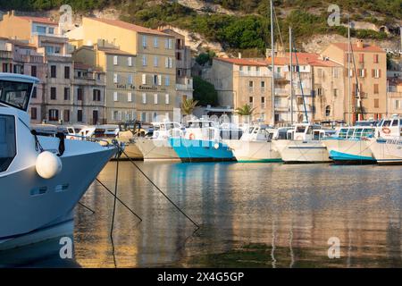 Bonifacio, Corse-du-Sud, Korsika, Frankreich. Blick über den Hafen bei Sonnenaufgang, verankerte Sightseeing-Boote spiegeln sich im ruhigen Wasser. Stockfoto