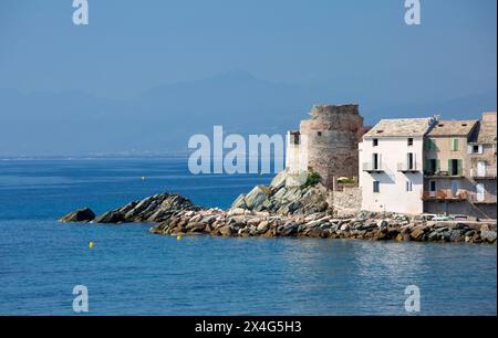 Erbalunga, Haute-Corse, Korsika, Frankreich. Blick über die ruhige Bucht zu Dorfhäusern und ruinierten Genueser Wachtturm aus dem 16. Jahrhundert. Stockfoto