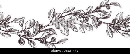 Heidelbeerzweige mit Beeren und Blättern. Grafische Abbildung, handgezeichnet mit brauner Tinte, Strichgrafik monochrom. Nahtloser Rand, Muster, einfaches Anziehen Stock Vektor