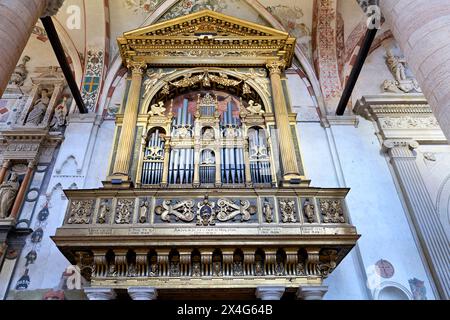 Verona Veneto Italien. Die Orgel der Basilika Saint Anastasia Stockfoto