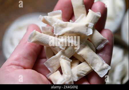 Dresden, Deutschland. Mai 2024. Tabakfreie Nikotinbeutel sind in einer Hand. Robert Michael/dpa/Alamy Live News Stockfoto