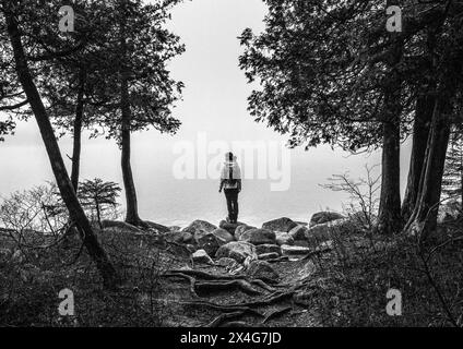 Wanderer steht im Nebel am Rand des Jordan Pond, Acadia, Maine Stockfoto