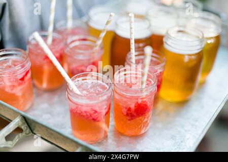 Farbenfrohe Sommergetränke mit Obstgarnitur auf einem Serviertablett Stockfoto