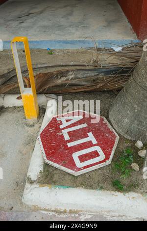 Ein altes Stoppschild liegt auf dem Boden neben einer Palme in Mexic Stockfoto