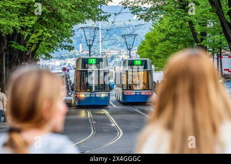 Straßenbahnen Linie 11 begegnen sich in der Bahnhofstraße, Zürich, 30. April 2024 Schweiz, Zürich, 30. April 2024, Zürcher Trambahnen Linien 11 begegnen sich in der Bahnhofstraße, Straßenbahn des ZVV, Zürcher Verkehrsverbund, Zürich verfügt über ein vorbildlich ausgebautes Nahverkehrssystem, Trambahnen verkehren im 5-Miniuten-Takt, Linie 11 mit Endstationen Auzelg und Rehalp, Passantinnen, Frühling, *** Straßenbahnen Linie 11 treffen in Bahnhofstrasse, Zürich, April 30, 2024 Schweiz, Zürich, Zürich, Zürich, 30. April 2024, Zürcher Straßenbahnen Linie 11 treffen in der Bahnhofstraße, ZVV-Straßenbahn, Zürcher Nahverkehr n Stockfoto