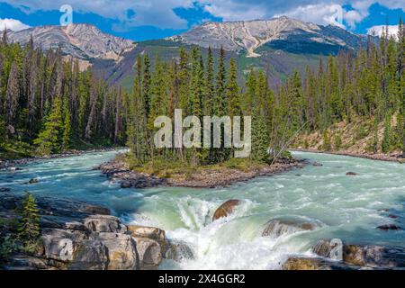Sunwapta Falls und Sunwapta River im Sommer, Jasper Nationalpark, Kanada. Stockfoto