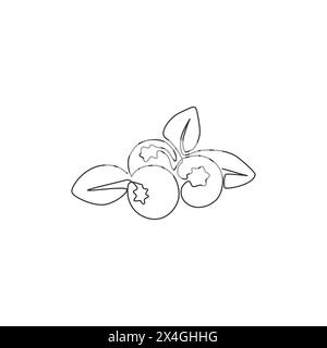 Eine einzige Zeilenzeichnung von ganzen gesunden Bio-Heidelbeeren für Obstgarten-Logo-Identität. Frisches Blaubeerfrucht-Konzept für Obstgarten-Ikone. Moder Stock Vektor