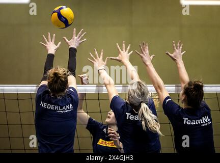 ARNHEIM - 03.05.2024, Spieler während des Trainings der niederländischen Frauen-Volleyballmannschaft im Vorfeld der Olympischen Qualifikation. ANP SEM VAN DER WAL Stockfoto