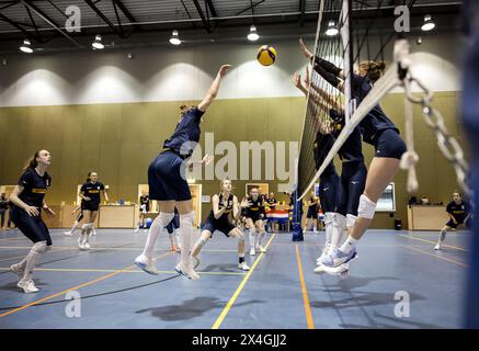 ARNHEIM - 03.05.2024, Spieler während des Trainings der niederländischen Frauen-Volleyballmannschaft im Vorfeld der Olympischen Qualifikation. ANP SEM VAN DER WAL Stockfoto