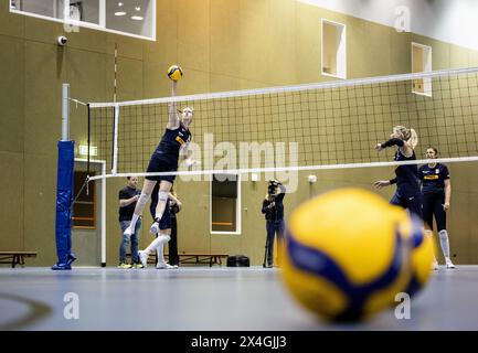 ARNHEIM - 03.05.2024, Spieler während des Trainings der niederländischen Frauen-Volleyballmannschaft im Vorfeld der Olympischen Qualifikation. ANP SEM VAN DER WAL Stockfoto