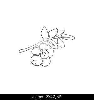Eine durchgehende Linienzeichnung von ganzen gesunden Bio-Heidelbeeren für Obstgarten-Logo-Identität. Frisches Blaubeerfrucht-Konzept für Obstgarten-Ikone. M Stock Vektor
