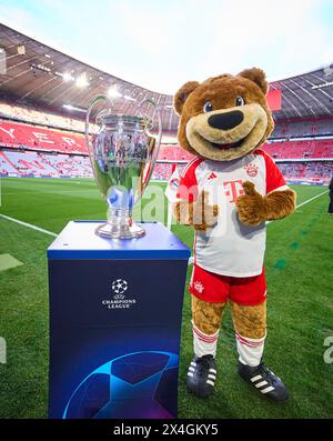 FCB Maskottchen Bernie, Maskottchen, mit Champions-League-Pokal, Trophäe, Pott vor dem Halbfinalspiel FC BAYERN MÜNCHEN - REAL MADRID des Fußballs UEFA Champions League in der Saison 2023/2024 in München, 30. April 2024. Halbfinale, FCB, München © Peter Schatz / Alamy Live News Stockfoto