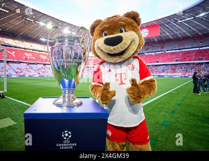 FCB Maskottchen Bernie , Maskottchen, mit Champions League Pokal, Trophäe, Pott, Zeremonie, im Halbfinalspiel FC BAYERN MÜNCHEN - REAL MADRID 2-2 Fußball UEFA Champions League in der Saison 2023/2024 in München, 30. April 2024. Halbfinale, FCB, München © Peter Schatz / Alamy Live News Stockfoto