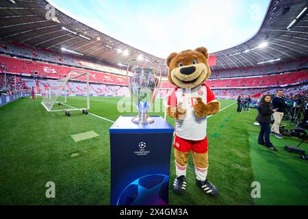 FCB Maskottchen Bernie , Maskottchen, mit Champions League Pokal, Trophäe, Pott, Zeremonie, im Halbfinalspiel FC BAYERN MÜNCHEN - REAL MADRID 2-2 Fußball UEFA Champions League in der Saison 2023/2024 in München, 30. April 2024. Halbfinale, FCB, München © Peter Schatz / Alamy Live News Stockfoto