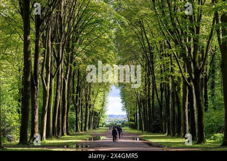 Gasse im Park von Schloss Augustusburg in Brüehl bei Bonn, Nordrhein-Westfalen. Allee im Park von Schloss Augustusburg in Bruehl bei Bo Stockfoto