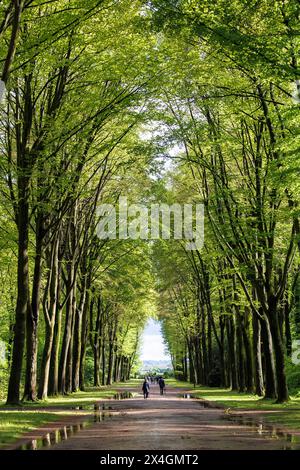 Gasse im Park von Schloss Augustusburg in Brüehl bei Bonn, Nordrhein-Westfalen. Allee im Park von Schloss Augustusburg in Bruehl bei Bo Stockfoto