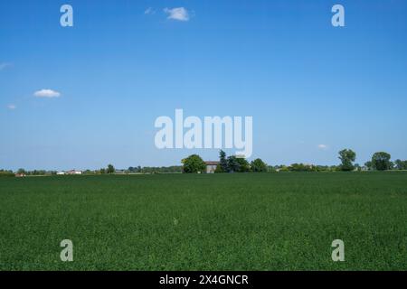 Landschaft in der Nähe von Fidenza, in der Provinz Parma, Emilia Romagna, Italien, im Sommer Stockfoto