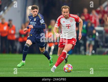 München, Deutschland. April 2024 30. Harry Kane, FCB 9 tritt um den Ball an, Tackling, Duell, Header, zweikampf, Action, Kampf gegen Federico VALVERDE, Real Madrid 15 im Halbfinalspiel FC BAYERN MÜNCHEN - REAL MADRID 2-2 Fußball UEFA Champions League in der Saison 2023/2024 in München, 30. April 2024. Halbfinale, FCB, München Fotograf: ddp Images/STAR-Images Credit: ddp Media GmbH/Alamy Live News Stockfoto