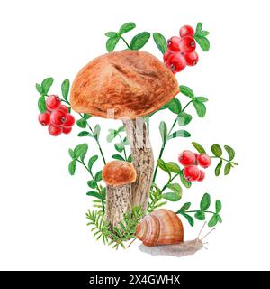 Boletus, trockene Blätter, rote Beeren, Schnecke. Aquarell handgezeichnet realistische botanische Illustration mit Waldpilz, Preiselbeere für Öko-Waren Stockfoto