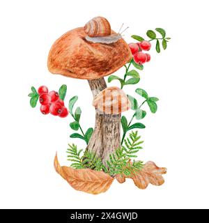 Boletus, trockene Blätter, rote Beeren, Schnecke. Aquarell handgezeichnet realistische botanische Illustration mit Waldpilz, Preiselbeere für Öko-Waren Stockfoto