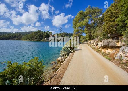Dorf Babine Kuce bei Govedari auf der Insel Mljet, Kroatien. Pfad in der Nähe der Bucht von Veliko jezero in der Adria Stockfoto
