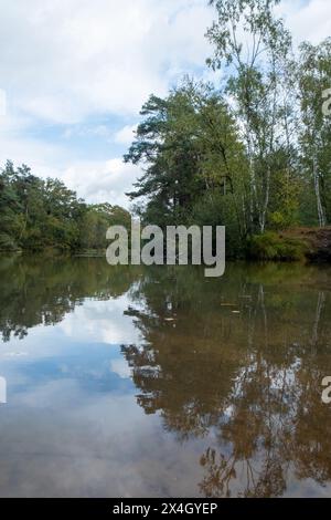 Ein stiller See wirkt wie ein Spiegel, der den Himmel und die umliegenden Bäume in einer ruhigen Waldlandschaft reflektiert. Die glasartige Oberfläche des Wassers wird nur durch minimale Wellen gestört, die das ruhige Wesen einer unberührten Naturlandschaft einfangen. Wolken und blauer Himmel blicken durch das Baldachin und verleihen diesem friedlichen Tableau Tiefe. Ruhiger See mit Himmel und Bäumen in einem ruhigen Wald. Hochwertige Fotos Stockfoto