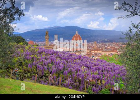 Frühlingsblick von Florenz: Kathedrale Santa Maria del Fiore aus Sicht des Bardini-Gartens mit typischer Wisteria in Blüte. Stockfoto