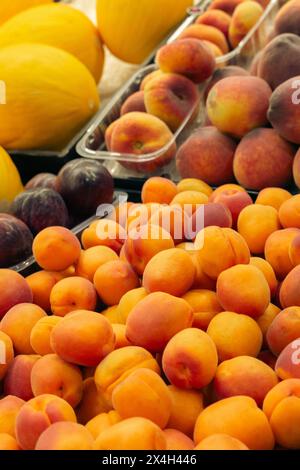 Aprikosen, Pflaumen, Pfirsich und Melonen am Marktstand. Haufen saftiger Früchte. Sommerernte. Gesunde Ernährung. Vitamine und Antioxidantien. Obstmarkt Stockfoto