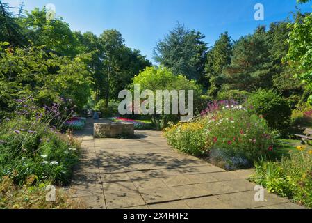 Wunderschöne Pflanzen im Elgin Bibelgarten, in der Nähe der Kathedrale, Elgin. Elgin Biblical Garden, King Street, Elgin, Moray, Highlands, Schottland, Großbritannien Stockfoto