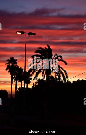 Symphonie der Stadtdämmerung: Leuchtende Orange- und Lila-Töne am Himmel, während die Sonne hinter Palmen und Straßenlaternen untergeht und ein heiteres Leuchten auf dem strahlt Stockfoto