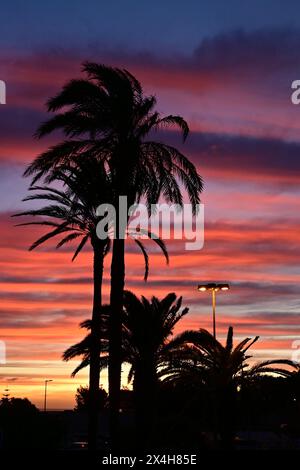 Die magischen Straßenlaternen der Abenddämmerung strahlen ein warmes Leuchten aus, während der Himmel von Tag zu Nacht übergeht. Palmen schaffen eine ruhige und malerische Stadt Stockfoto