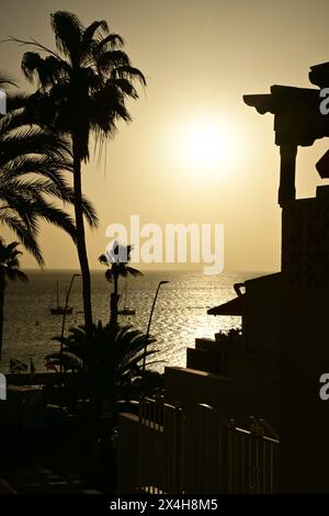 goldener Sonnenuntergang über dem Meer, mit Palmen, die sich am Himmel abheben, und die Sonne reflektiert vom ruhigen Wasser für eine ruhige und malerische Atmosphäre Stockfoto