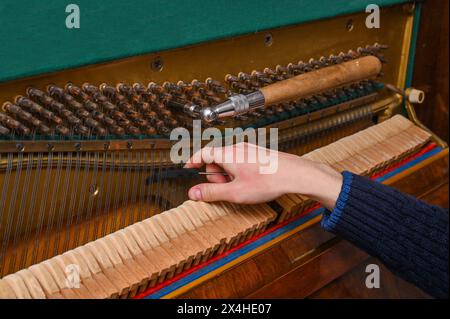 Die Hand und das Instrument des Klavierstimmers. Optimierungsprozess. Stockfoto