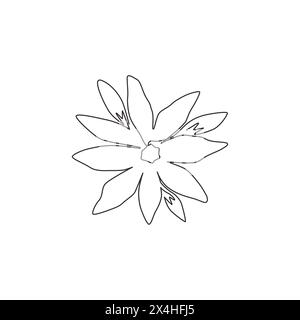 Eine einzeilige Zeichnung mit frischer Orchidee für Posterkunst an der Wand. Bedruckbares dekoratives Orchidaceae-Blumendekorationskonzept. Moderne Verbindung Stock Vektor