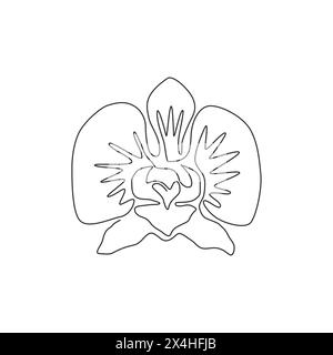 Eine durchgehende Linienzeichnung mit frischer Orchidee für Wohnwand-Dekor-Kunst. Bedruckbares dekoratives Poster Orchideenblüten-Konzept für Park-Ikone. Modus Stock Vektor
