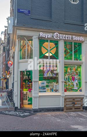 Amsterdam, Niederlande - 15. Mai 2018: Öffnen Sie den Corner Store Royal Queen Seeds und CBD Shop in der Damstraat Street im Stadtzentrum. Stockfoto