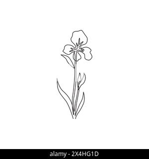 Eine durchgehende Linie mit schönen, ausdauernden Pflanzen für Wanddekoration, Posterdruck für Wohnkunst. Dekoratives Irisblumenkonzept für Einladungskarte. Mo Stock Vektor