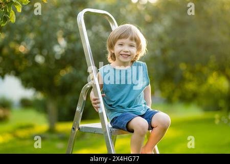 Niedlicher kleiner Junge, der im Sommer bei der Ernte von Äpfeln im Apfelbaumgarten hilft. Kind pflückt Obst im Garten. Frisches, gesundes Essen für Kinder. Familie n Stockfoto