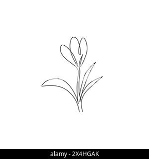 Eine einzeilige Zeichnung mit frischem Croci für den Garten. Bedruckbare dekorative Krokusblume für Poster mit Wandbedruckung. Trendig Stock Vektor