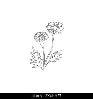 Einzeilige Zeichnung mit Beauty Fresh tagetes erecta for Garden Logo. Dekoratives Ringelblumenkonzept für Postermotive zur Wohnkultur. Moder Stock Vektor