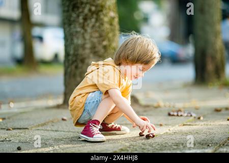 Niedlicher Kleinkinder, der am Herbsttag in einem Park Kastanien pflückt. Kind, das Spaß mit der Suche nach Kastanien und Laub hat. Herbstliche Aktivitäten mit Kindern. Stockfoto