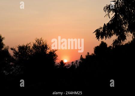 Eine friedliche Szene mit einem lebendigen Sonnenuntergang, der sein goldenes Licht über einen dichten Wald voller Silhouetten wirft. Stockfoto