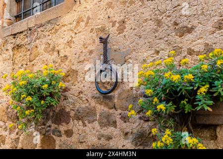 Ein dekorativer Metalldrache, der einen Ring an einer strukturierten Steinmauer hält, neben einem Fenster mit gelben Blumen in einem Pflanzgefäß. Stockfoto