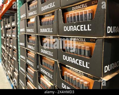 BAXTER, MN - 3. Februar 2021: Anzeige von Duracell C-Batterien zum Verkauf. Schwarz-goldene Alkali-Batterie im 14er-Pack auf einer Palette in einem Mitgliedslager Stockfoto
