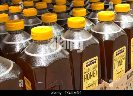 BAXTER, MN - 3. Februar 2021: Wildflower Honig der Marke Costco Kirkland in Flaschen mit gelben Spitzen, zum Verkauf im Einzelhandelsgeschäft für Mitglieder. Stockfoto