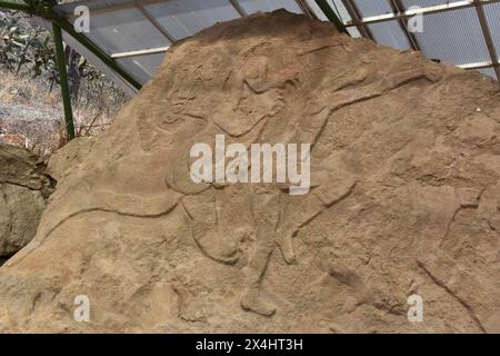 Die Ruinen von Olmec in Chatcatzingo, Morelos. Stockfoto