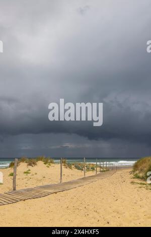 Plage Nord Beach, Mimizan, New Aquitaine, Frankreich Stockfoto
