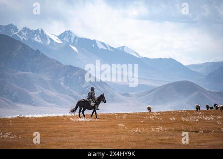 Nomadisches Leben auf einem Hochplateau, Hirte auf Pferd, Schafherde, dramatische hohe Berge, Tian Shan Berge, Jety Oguz, Kirgisistan Stockfoto